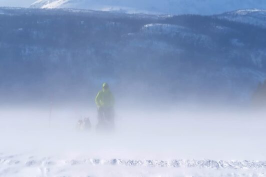Dog Sledding Expedition - Border Mountains to Jokkmokk, 12 Days