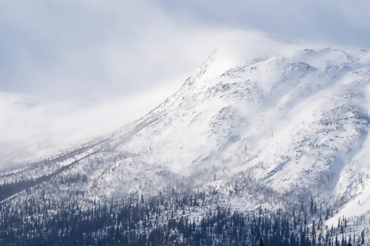 mighty Mountain View at dog sledding expedition