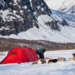 tält på expedition med hundspann