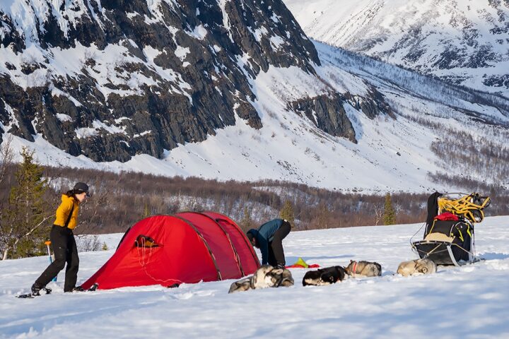 tent camp at dog sledding expedition