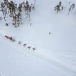 hundspannsexpedition 12 dagar Jokkmokk