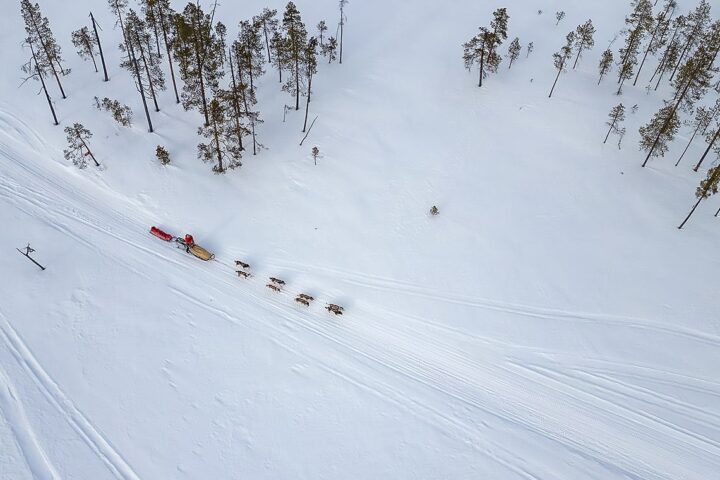 hundspannsexpedition 12 dagar Jokkmokk